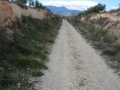 DSCN5895