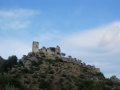 DSCN5905