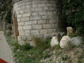 DSCN5935