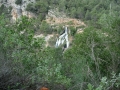 DSCN5947